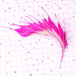 Real Turkey Chicken Feather Flower for Jewellery Hat Headdress Decorations Feathers Crafts Accessories Plumes 25-30 CM
