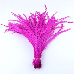 Rose Rooster Feather Silm 25-40CM Natural Pheasant Feathers for Crafts Costume Clothing Sewing Headress Decoration Plumas