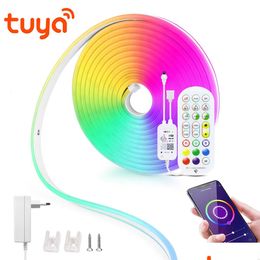 Other Event & Party Supplies Other Event Party Supplies 12V Led Strip Neon Lights Tuya Smart Life Wifi Bluetooth Rgb Sign Tape Room De Dhokp