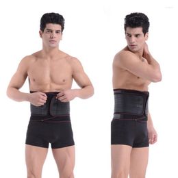 Waist Support Double Pull Lumbar Adjustable Lower Back Belt Brace Pain Relief Unisex Sports Protection Trainer 2023