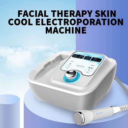 Portable 2 in 1 D Cool Skin Rejuvenation EMS Electroporation No Needle Mesotherapy Tightening Machine