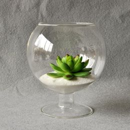 Vases Clear Glass Vase Terrarium Cup Shaped Bottle Flower Garden Indoor Office Bar Decoration Ornament