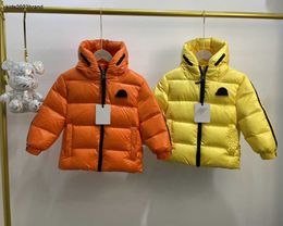 New Winter baby Hooded jacket Comfortable and warm kids Down coat Size 110-150 Windproof design child overcoat Oct25