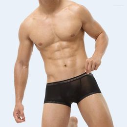 Underpants Men Thin Translucent Convex Pouch Lingerie Ice Silk Fashion See-Through Underwear Low Waist Quick Dry Panties