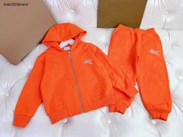 New kids Tracksuits Embroidered logo Autumn baby clothes Size 100-150 Solid Colour zippered hooded jacket and pants Nov05