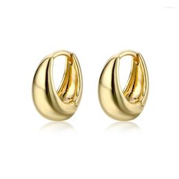 Hoop Earrings Adolph Selling French Gold Color Chic Oval Shaped Women's Chunky Hoops Geometrical Brass Minimalist