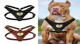 Dog Collars Leashes Personalised Leather Harness Sharp Spiked Studded Custom ID Tag Harnesses Pet Vest For Pitbull Boxer Mastiff2547035