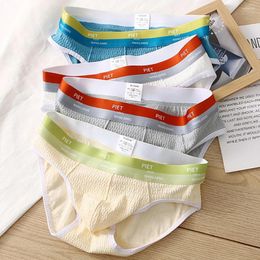 Underpants Men Cotton Briefs Thread Skin Friendly Underwear Pouch Low-Rise Loose Elastiity Thong Solid Casual Breathable Panties