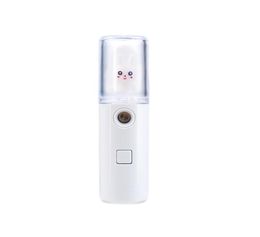 Facial Steamer nano spray water supplement doll shape01232425352