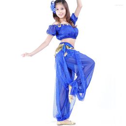 Stage Wear Belly Dance Costume 2pcs Lantern Blouse Bra Top & Pants 13 Colours