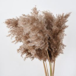 Decorative Flowers & Wreaths 10pcs Bulrush Natural Real Dried Plants Pampas Grass In Bouquet Small Flower For Decoration Phragmite Wedding H