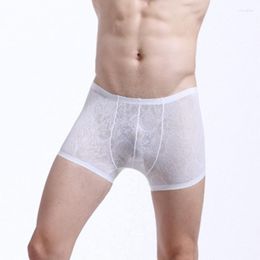 Underpants Men Knicker Briefs Quick Drying Boxer Shorts Sexy Transparent Thin Sweat Absorbing Underwear Panties Summer Breathable Underpant