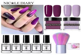 DIARY 9PCS Dip Dipping Powder Set Jelly Purple Pink Nail Glitter Natural Dry Without UV Lamp Acrylic Art Decoration19161905