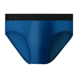 Underpants Sexy Underwear Men Briefs Shorts Bikini Slip Homme Cotton Panties For Man Solid Comfortable Pouch Cueca Calzoncillo