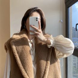 Women's Fur Faux Fur Long Women Coat Sleeveless Teddy Bear Jacket Coat Warm Fur Coat Wool Coat Women Winter Loose Coat Classic Fashion Pink Blue Coat 231102