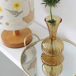 Vases Nordic Style Simple Atmospheric Table Art Flower Insert Decorative Hydroponic Bottle Retro Glass Vase Transparent Brown