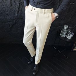 Men's Suits Brand Clothing Autumn Winter Suit Pants Men Thick Business Classic Grey Brown Woolen Straight Korean Formal Trousers Male 28-38