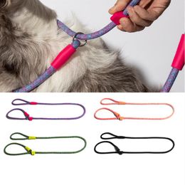 Dog Collars Tough Tensile Leash P Chain Labrador Doberman Shiba Leads Walking Accessories Supplies Training