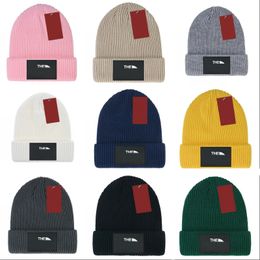 Ski wool hat designer beanie for mens winter skull capas knitted bonnet luxe fashion solid Colour autumn and spring classical letter woman beanie grey pink fa04