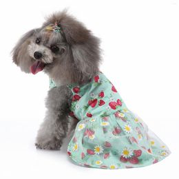 Dog Apparel Tutu For Dogs Large Clothes Girl Pet Print Skirt Outfits Medium Cat Dress