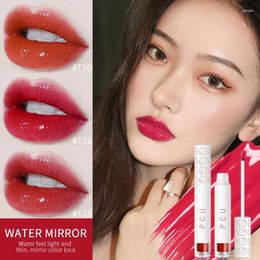 Lip Gloss 1pc Glaze Velvet Matte Waterproof Moisturising Non-marking Lipstick Long Lasting No Fading TSLM1