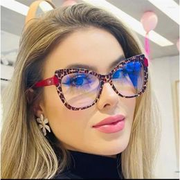 Sunglasses TR HD Anti-blue Glasses Europe And The United States Personality Colour Trend Frame Retro Cat Eye Plain Light Mirror