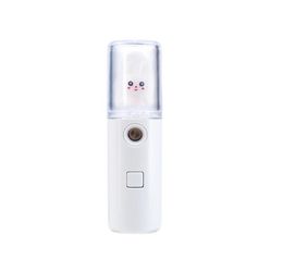 Facial Steamer nano spray water supplement doll shape01233871822