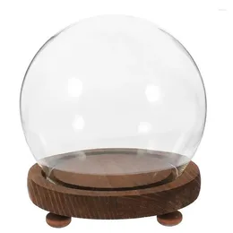 Vases 1 Empty Glass Dome Wooden Base Miniature Display Round Plant Case With