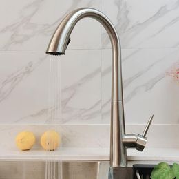 Kitchen Faucets Sink Pull-out And Cold Faucet Hidden Drawing High Quality