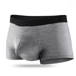 Underpants Modal Boxer Briefs Underwear Separate Bulge Pouch Breathable Panties Gay Undies Calsoncillos Para Bikini Hombre Men's