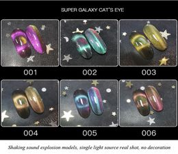 9D Cat Eye Gel Nail Polish Set Galactic Effect Magic Gel Nail Polish Kit 6 Colours UV LED Auroras Gel Polish4841818