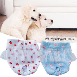Dog Apparel Soft Tail Hole Menstrual Pants Breathable Female Dogs Short Diapers Physiological Infection Prevention