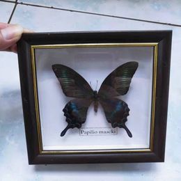 Decorative Objects Figurines Butterfly Real Specimen butterfly specimen po frame craft /Butterfly Artwork Material Decor 230403