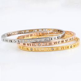 Bangle MSX Luxury Zircon Engraved Roman Numerals Stainless Steel Bangles Gold Silver Rose Color Bracelets For Women