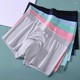 Underpants Sexy Men Underwear Boxer Panties Boxers Transparentes Hombre Lingerie Summer Ice Silk Shorts