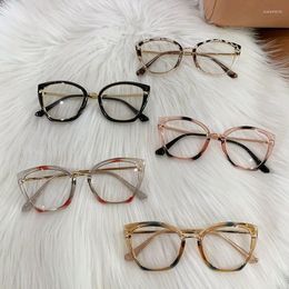 Sunglasses Fashion Durable Blue Light Blocking Women Cat Eye Triangle Metal Frame Glasses Female Anti Radiation Protection Eyeglasses