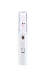 Facial Steamer nano spray water supplement doll shape01236426339