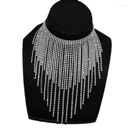 Choker Long Tassel Collar Necklace Jewellery For Women DD10216