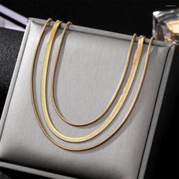 Chains 316L Stainless Steel Gold Colour Necklace For Women 2023 Punk Street Trend Rustproof Neck Jewellery Gift