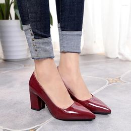 Dress Shoes Women's High Heels Ladies Fashion Shallow Pointed Toe Chunky Woman Pumps Office Women Footwear Zaptos Mujer