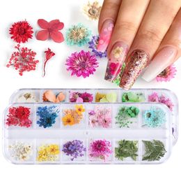 Mix Dried Flowers Natural Floral Leaf Nail Stickers 3D Decals Polish Manicure Accessories9664254