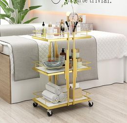 Beauty salon trolley removable three-layer skin care nail beauty ciliary storage tool car multi-functional shelving