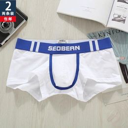 Underpants 2pcs/lot Hibbin Men's Solid Color Boxer Panties Cotton Breathable Sexy Low-rise Fashion Tight Trendy U Convex Three-Dimensional