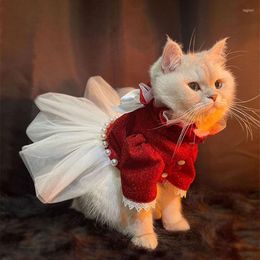 Cat Costumes Pet Clothing Dowry Dress Princess Wind Ins Teddy Dog Wedding Small Skirt For Dogs Kitten