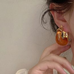 Dangle Earrings 1 Pair Resin Beautiful Retro Stud Hook Hoop Skin-friendly Comfortable