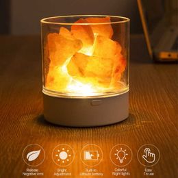 Night Lights USB Natural Himalayan Salt Lamp Led Crystal Light Lamp Air Purifier Atmosphere Flame Lamp Indoor Warm Light Bedroom Lava Lamp P230331