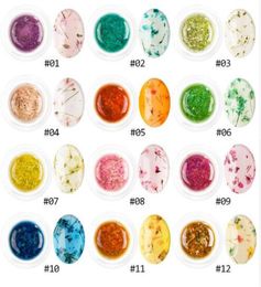 Newest DIY Natural Dried Flower Fairy Nail Gel Polish Floral Soak Off Manicure UV Nail Art Gel Glue8225436