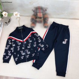 New kids Tracksuits high quality Sports suit Autumn baby clothes Size 90-150 Line Doll Pattern Print jacket and pants Nov05