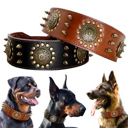 Dog Collars Leashes Leather Large Pitbull Spiked Studded for Medium Big s Genuine Durable Pet Brown 230403