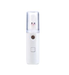 Facial Steamer nano spray water supplement doll shape01234530609